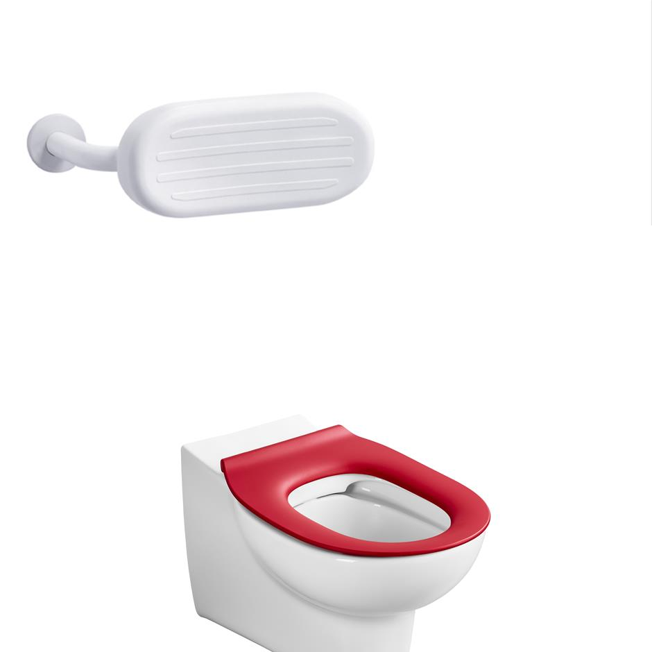 https://bathroomaddress.com.ng/welcome/wp-content/uploads/2018/06/Contour-21-Splash-Schools-Wall-Hung-WC.png